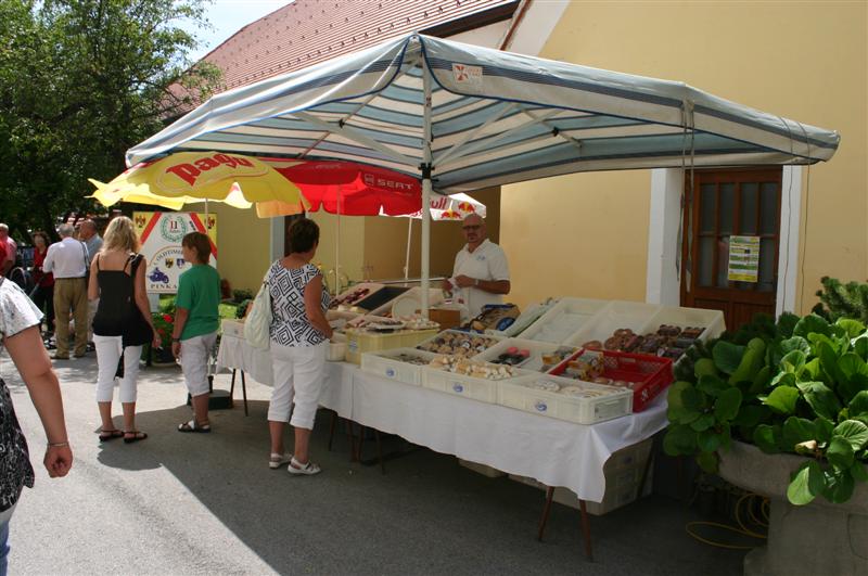 2009-07-12 11. Oldtimertreffen in Pinkafeld